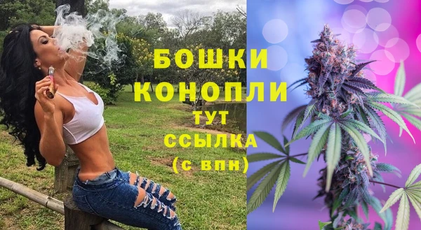 молекула духа Инта