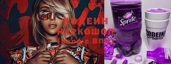 молекула духа Инта