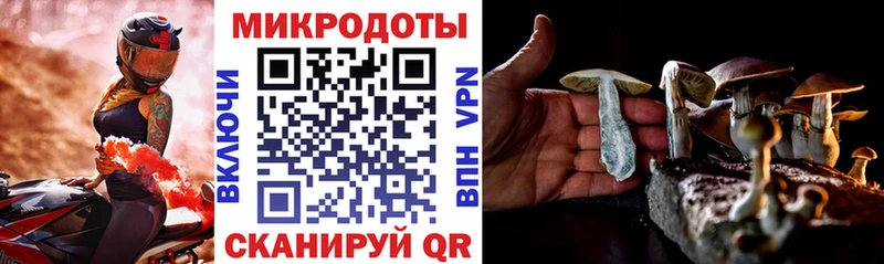 Псилоцибиновые грибы мухоморы  Купить где  Белово 